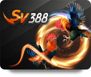 VF555 Bet Online Customer Support: What You Need to Know